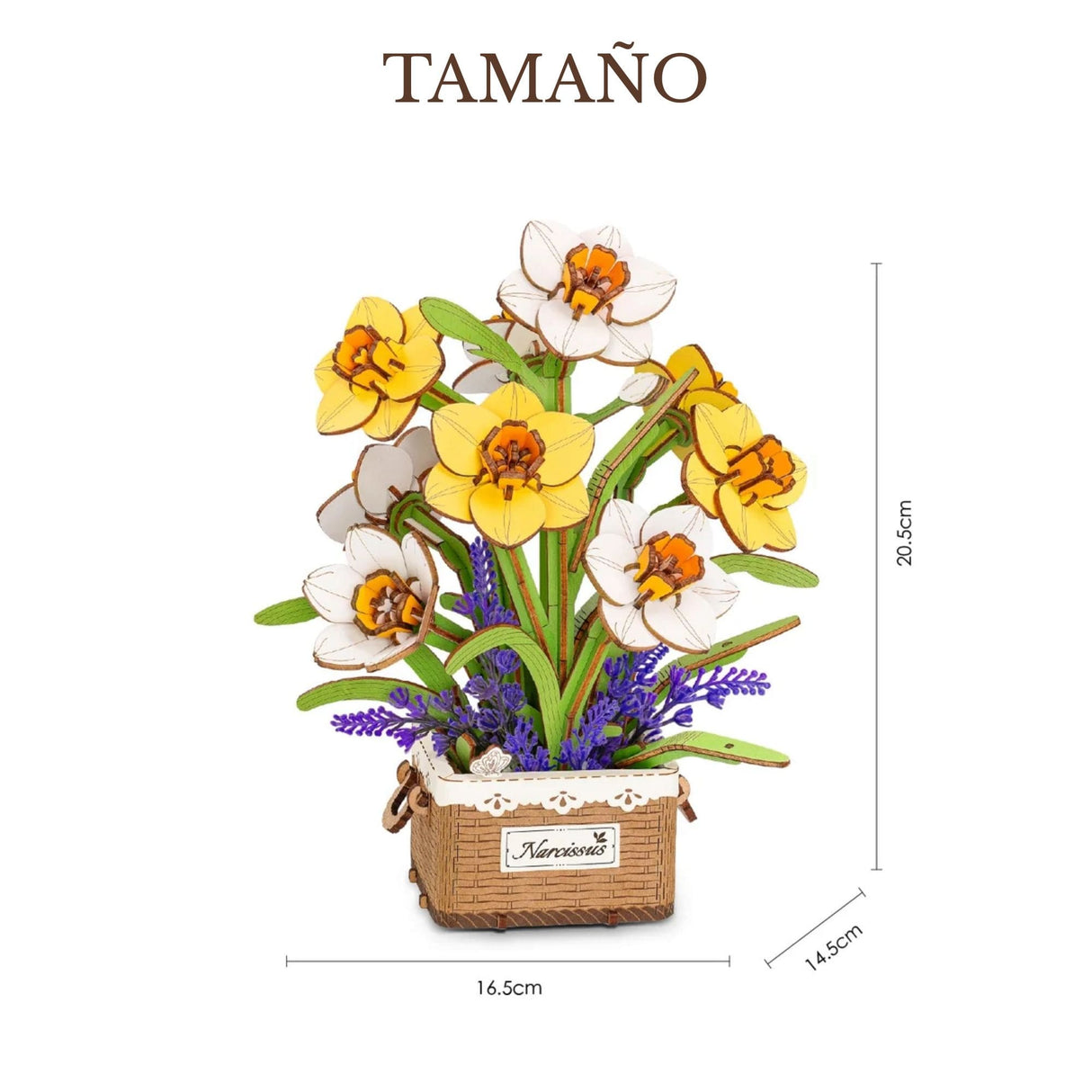 Rowood Wooden Bloom Craft - Miniatura Armable Flor Narcissus