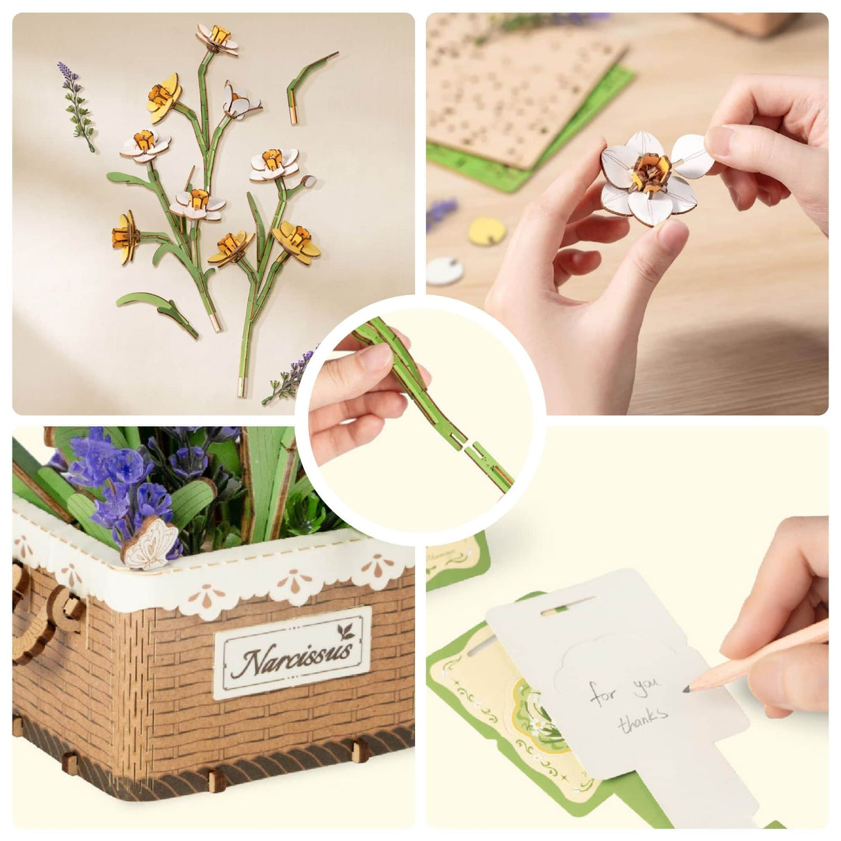 Rowood Wooden Bloom Craft - Miniatura Armable Flor Narcissus