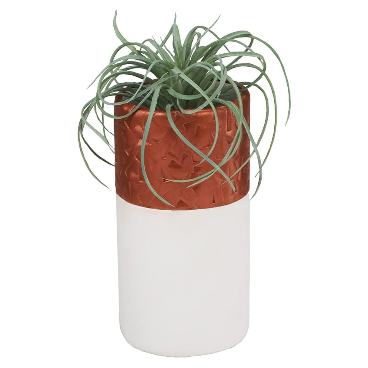 Sculpey Premo! - Arcilla Polimérica Multipack 24 Colores 681 g