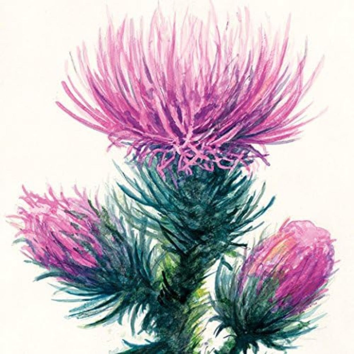 Strathmore - Block para Acuarela Watercolour 300 g/m2