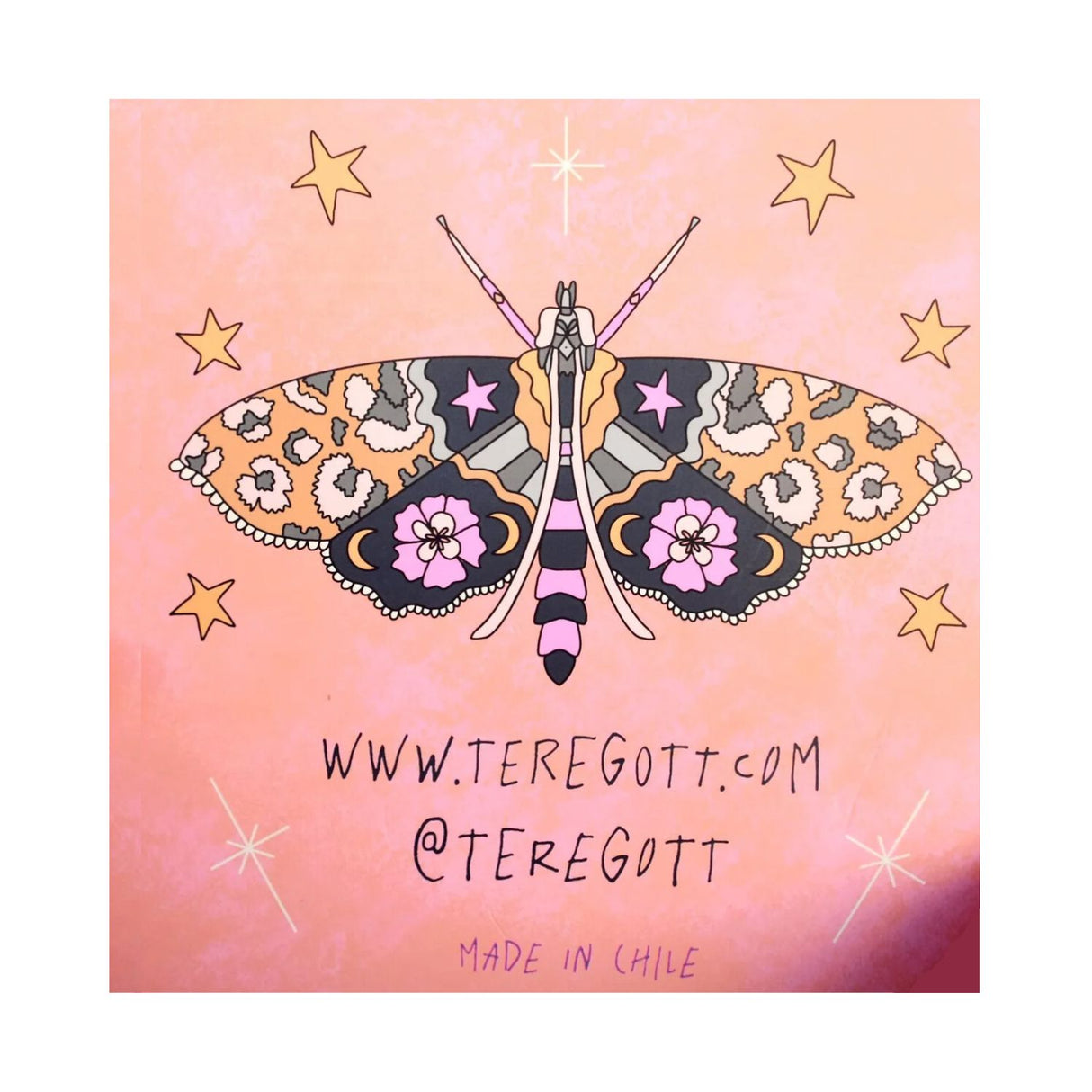 Tere Gott - Libro para Colorear Explora