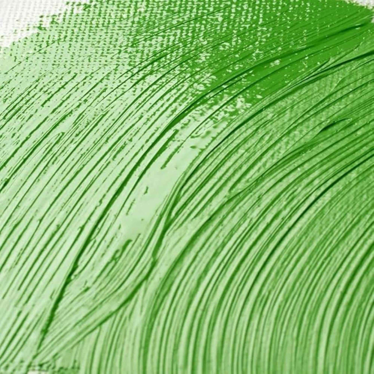 Winsor & Newton Professional - Barniz Brillante Spray