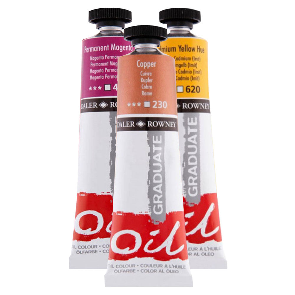 Pennello Daler-Rowney Graduate Ovale Wash 3/4 - Pelo Di Capra Bianco Per Acrilico/Olio - Foto 2