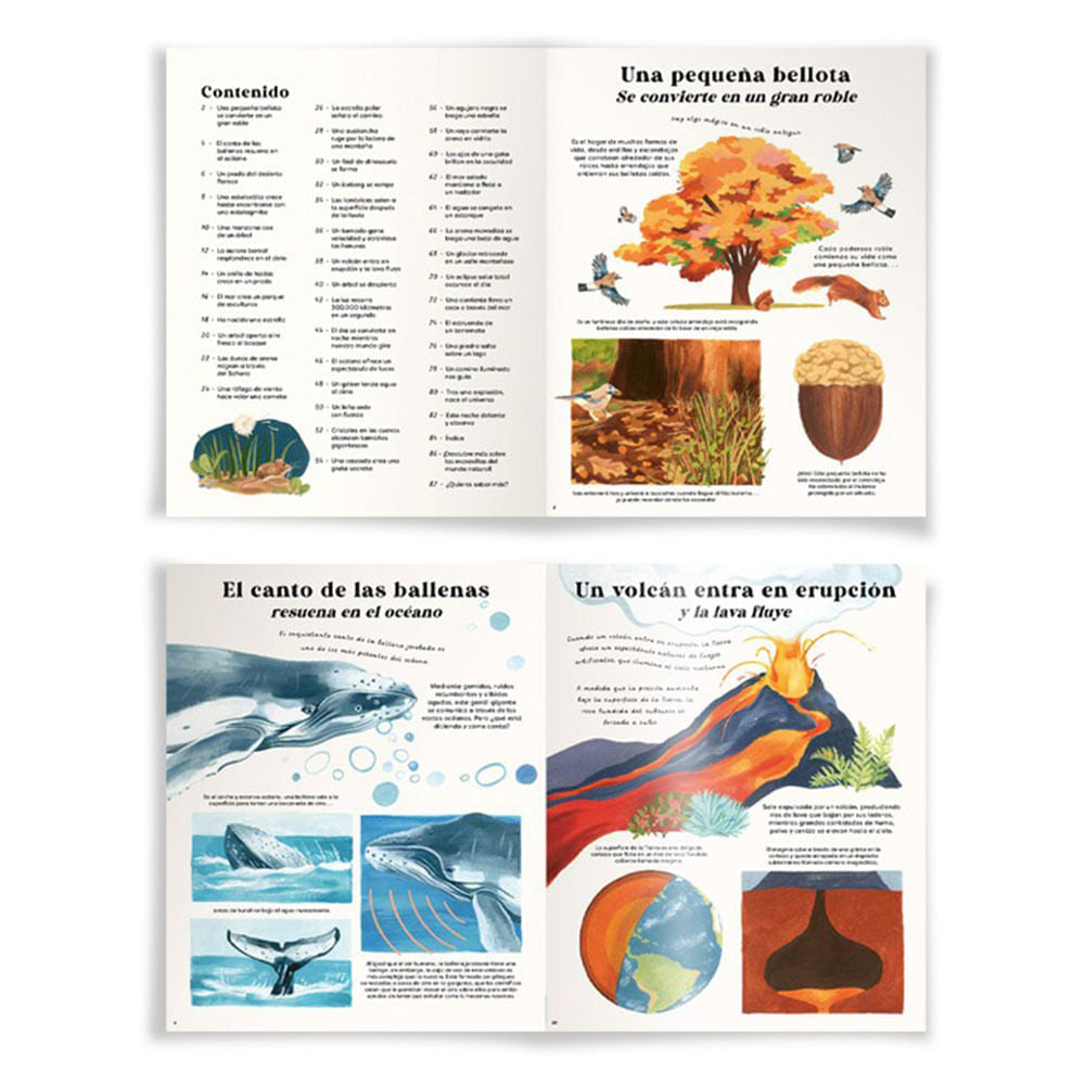 de-bellota-a-roble-carl-wilkinson-2