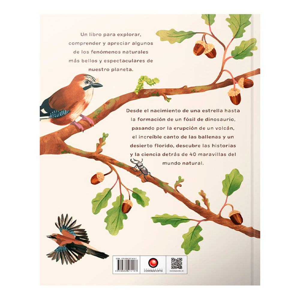 de-bellota-a-roble-carl-wilkinson-3