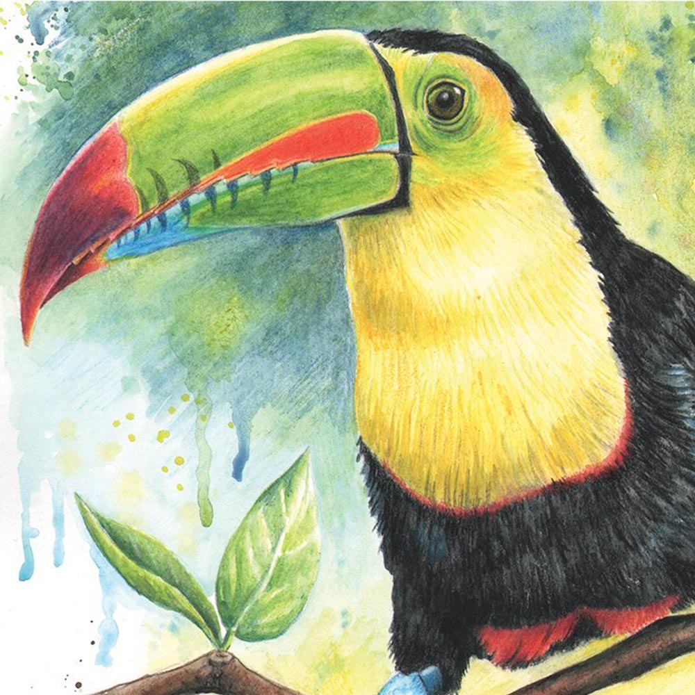 derwent-watercolour-set-24-lapices-de-colores-acuarelables-4