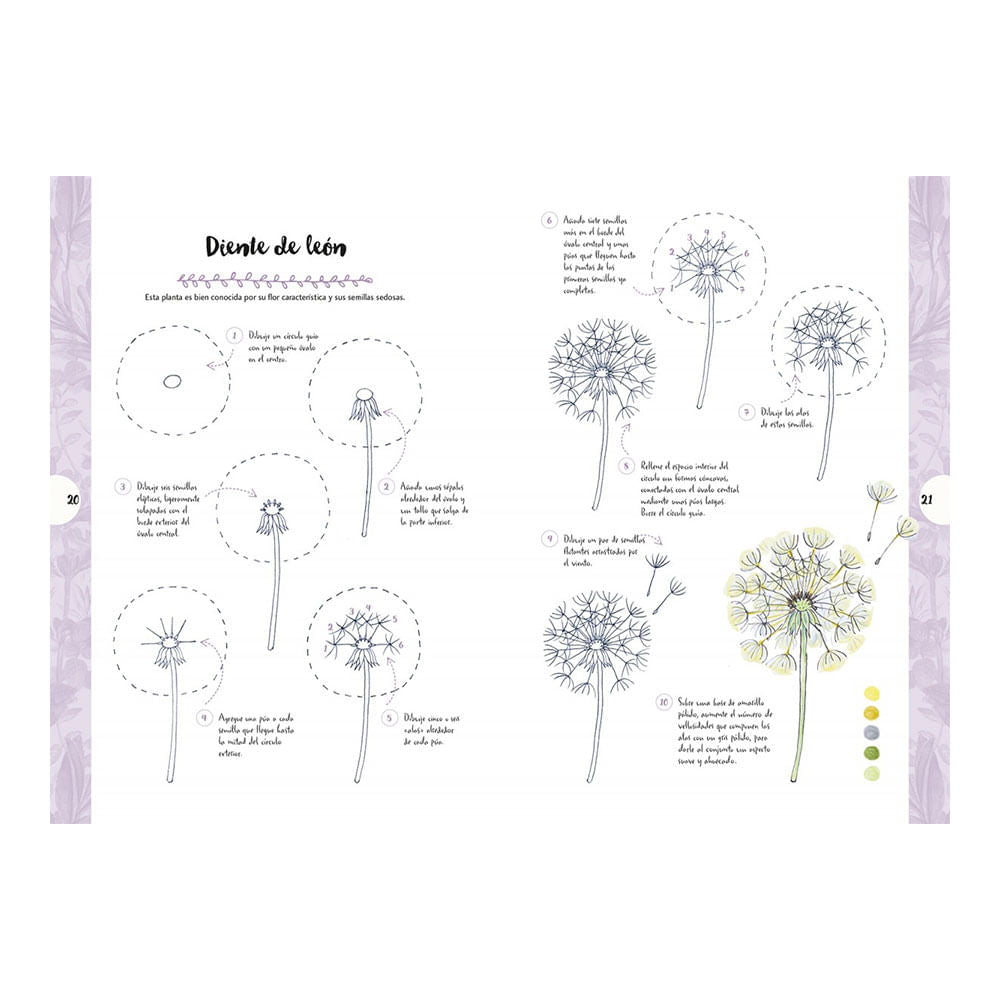 dibujar-animales-y-plantas-en-10-pasos-mary-woodin-3