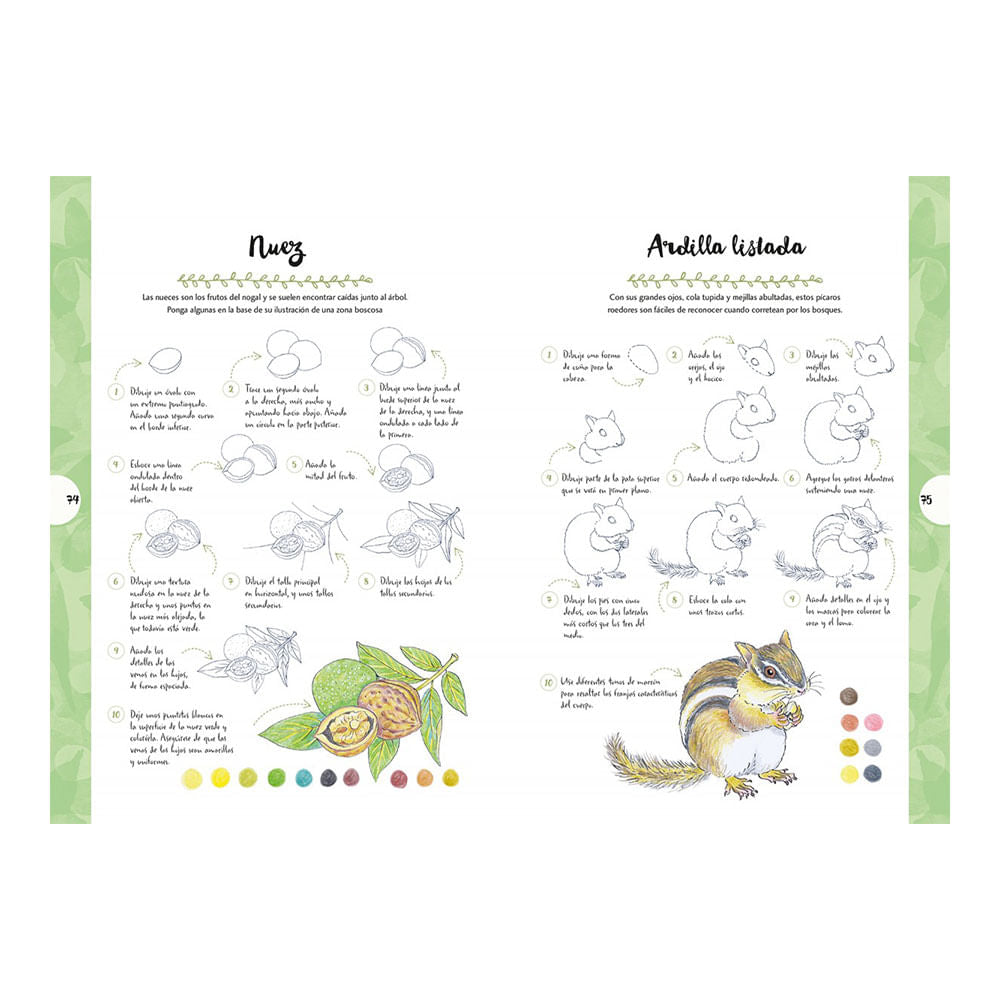 dibujar-animales-y-plantas-en-10-pasos-mary-woodin-4