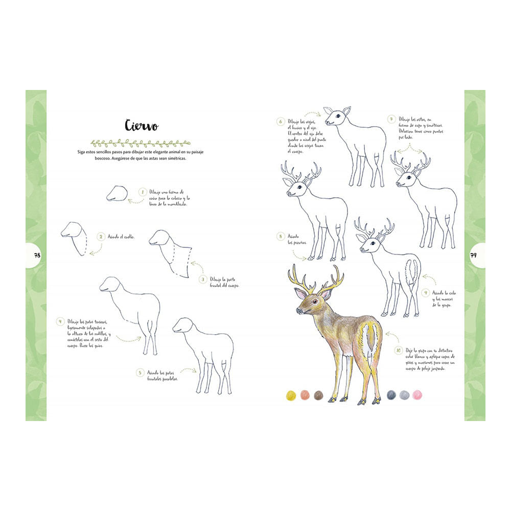 dibujar-animales-y-plantas-en-10-pasos-mary-woodin-5