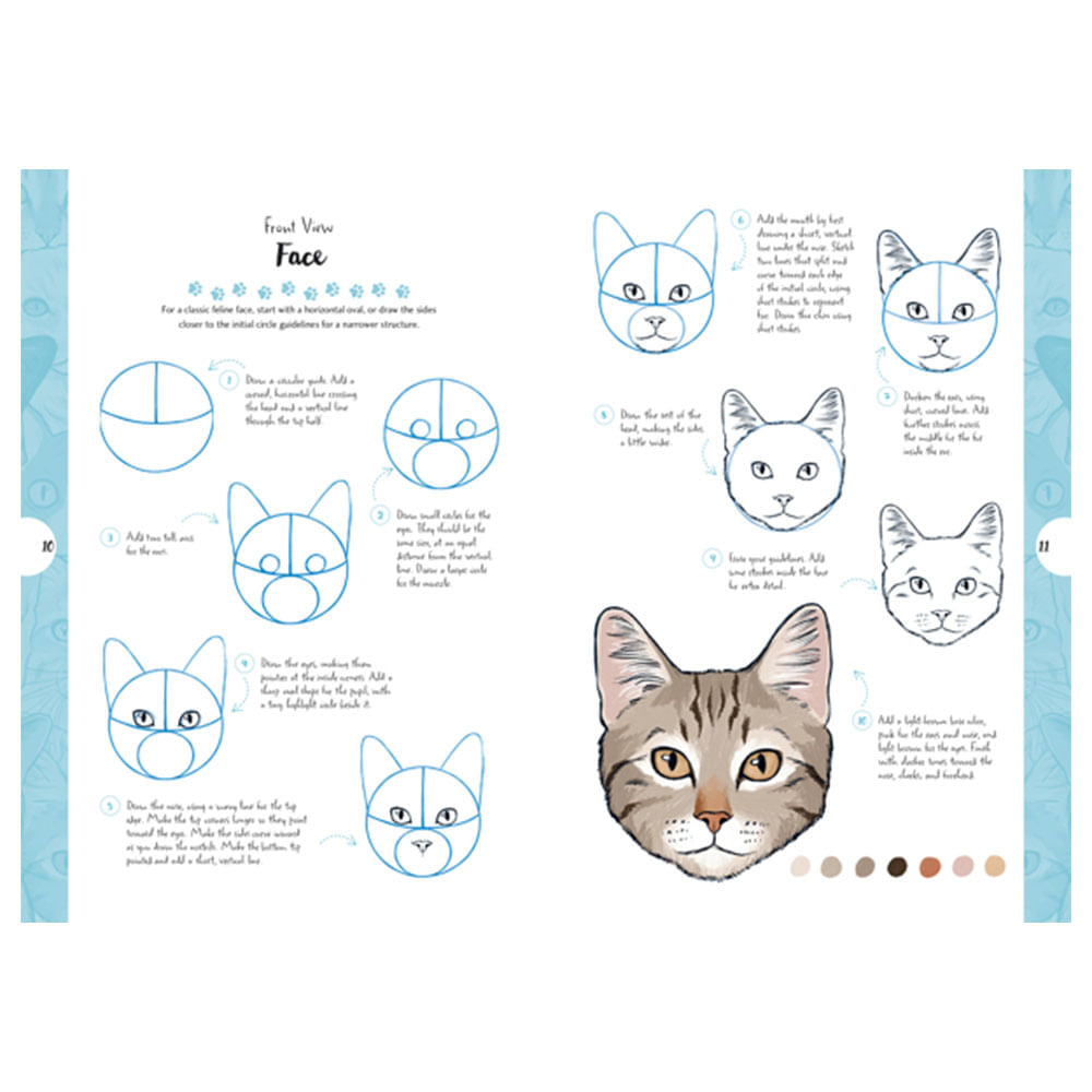 dibujar-gatos-en-10-pasos-justine-lecouffe-2