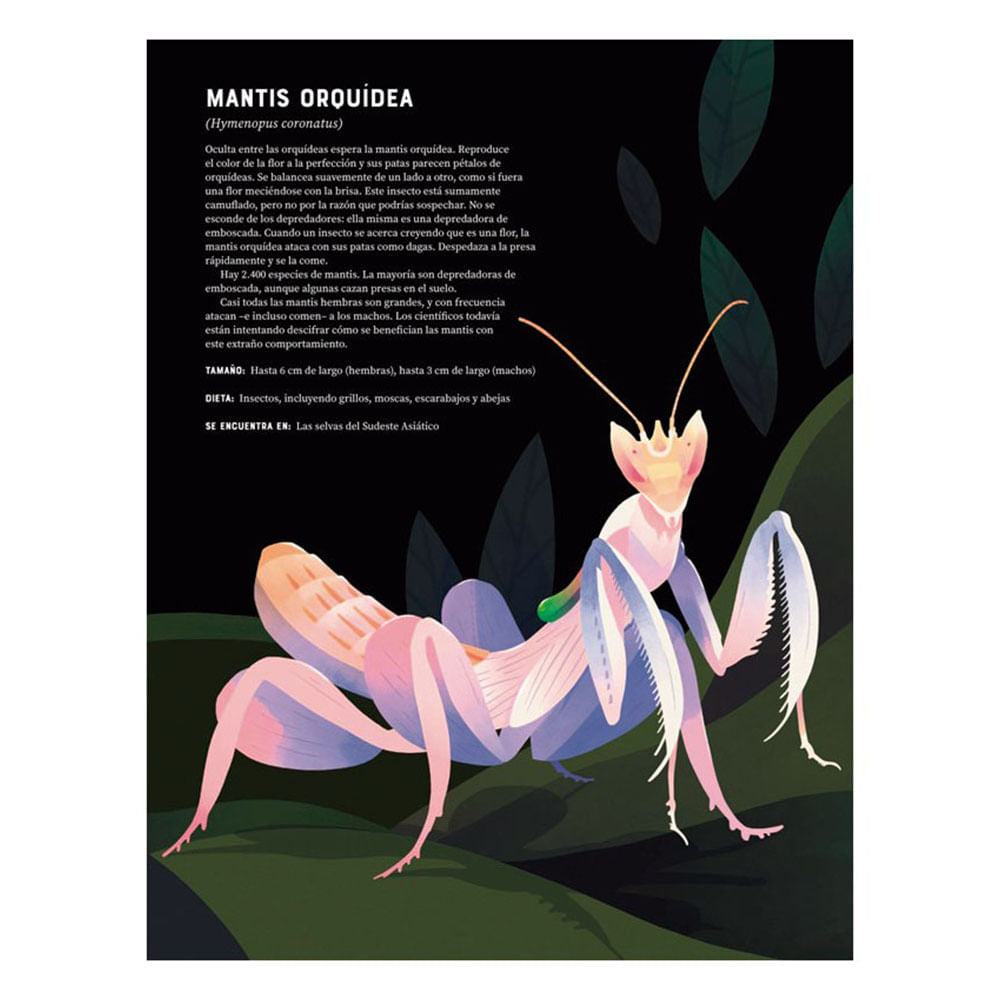 enciclopedia-de-los-animales-jules-howard-3