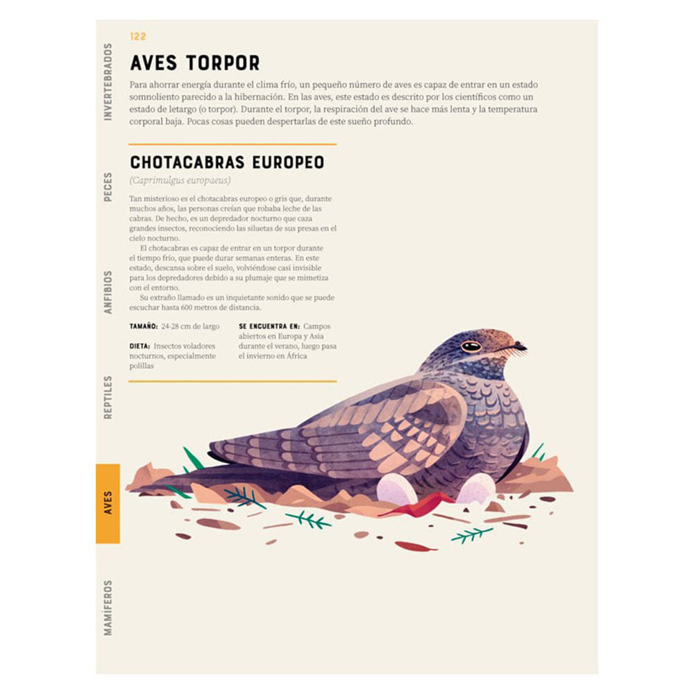 enciclopedia-de-los-animales-jules-howard-5