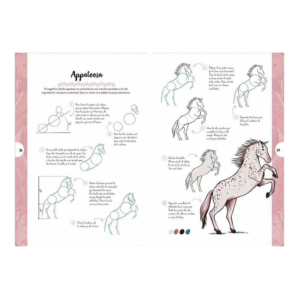 justine-lecouffe-libro-dibujar-en-10-pasos-caballos-y-ponis-4