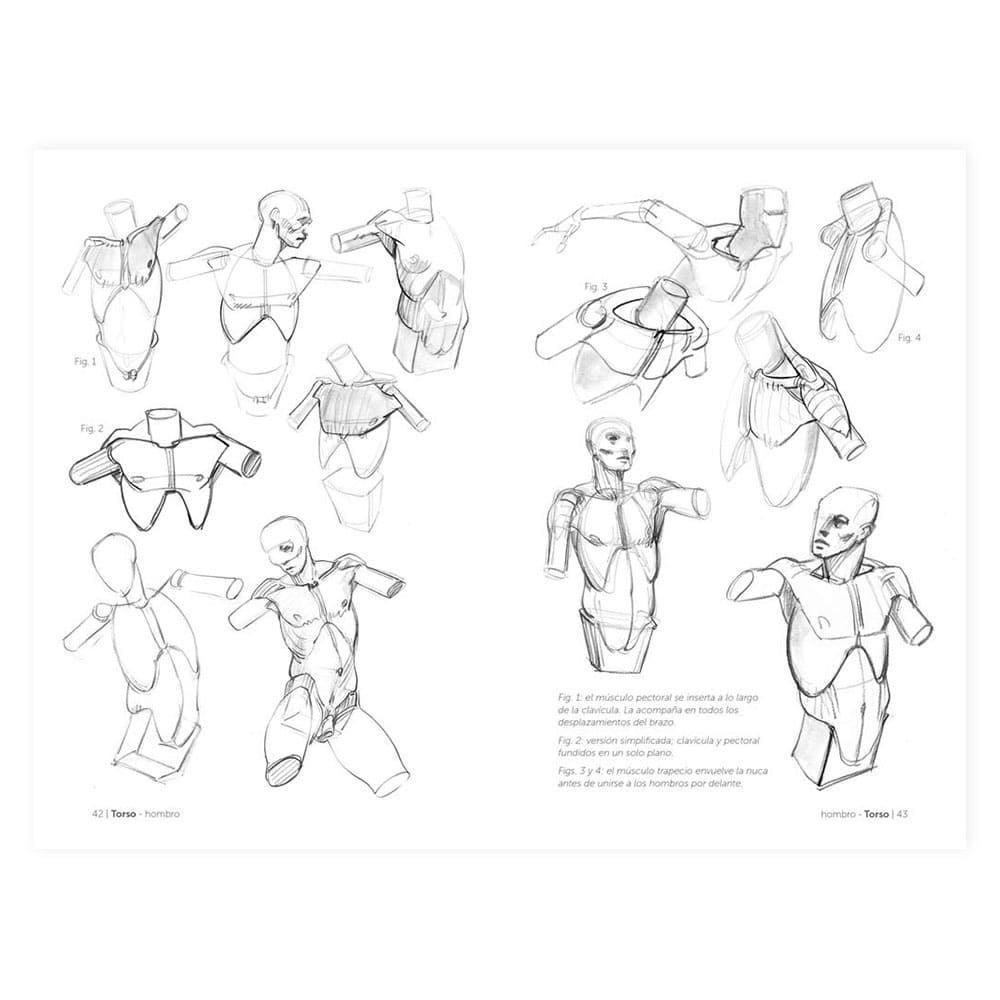 libro-anatomia-artistica-2-dibujar-de-forma-esquematica-michel-lauricella-3