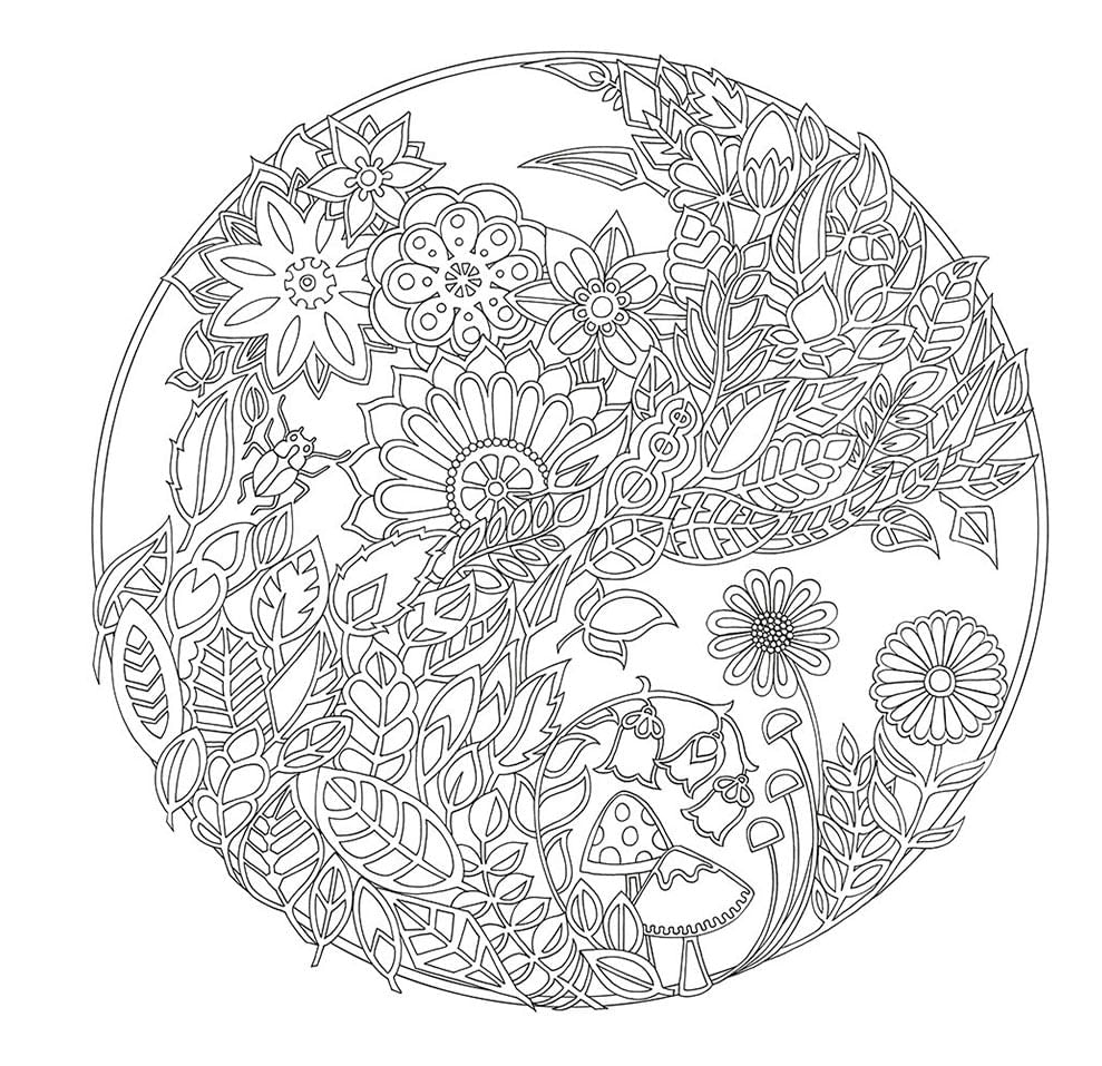 libro-para-colorear-el-bosque-encantado-johanna-basford-4