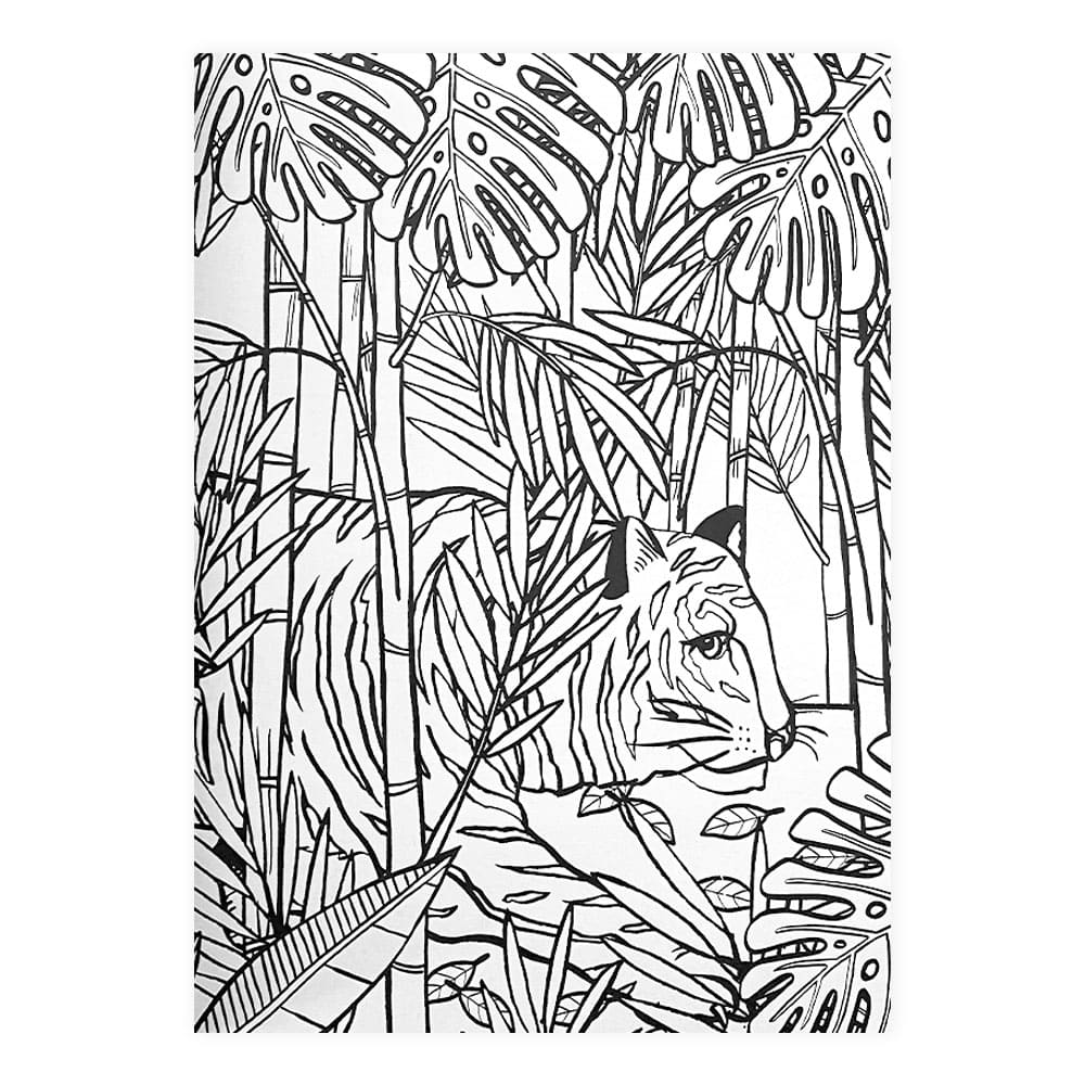 libro-para-colorear-el-libro-de-la-selva-varios-autores-3