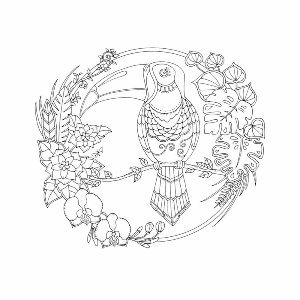 libro-para-colorear-lost-ocean-johanna-basford-4