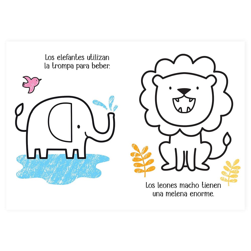 libro-para-colorear-mi-pequeno-libro-para-colorear-en-el-zoo-jenny-brown-2