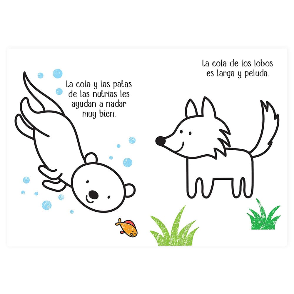 libro-para-colorear-mi-pequeno-libro-para-colorear-en-el-zoo-jenny-brown-