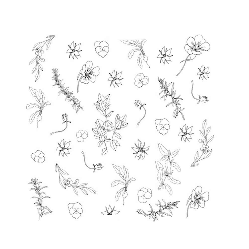 libro-para-colorear-the-plant-lady-sarah-simon-2