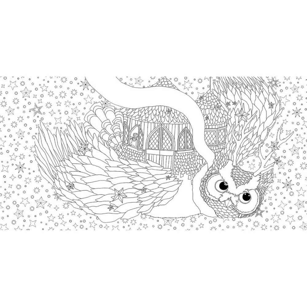 libro-para-colorear-the-time-garden-daria-song-6