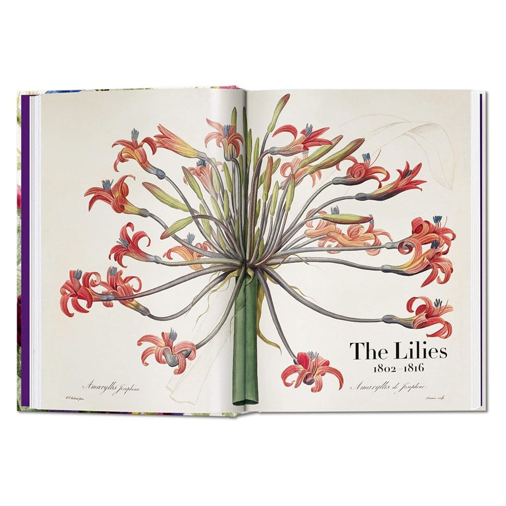 libro-the-book-of-flowers-pierre-joseph-redoute-2