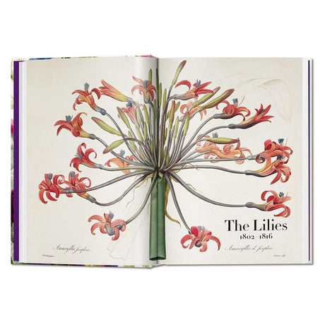 libro-the-book-of-flowers-pierre-joseph-redoute-2