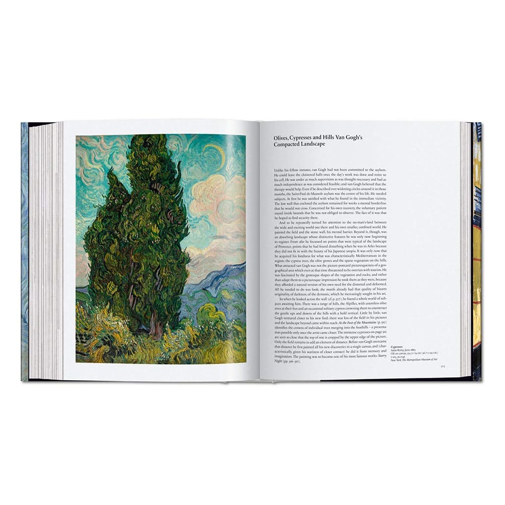 libro-van-gogh-obra-pictorica-completa-varios-autores-5