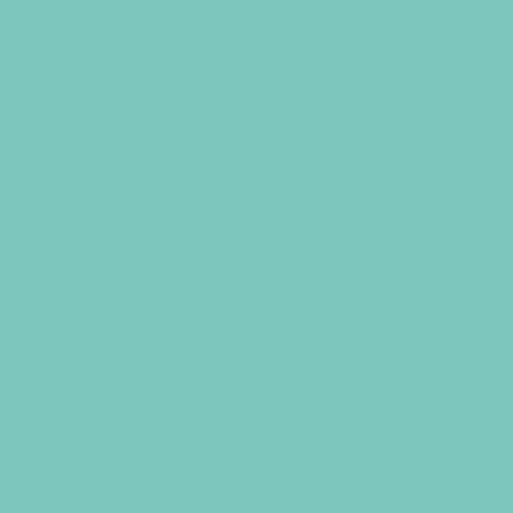 lyra-aqua-brush-duo-marcador-doble-punta-individual-French-Green