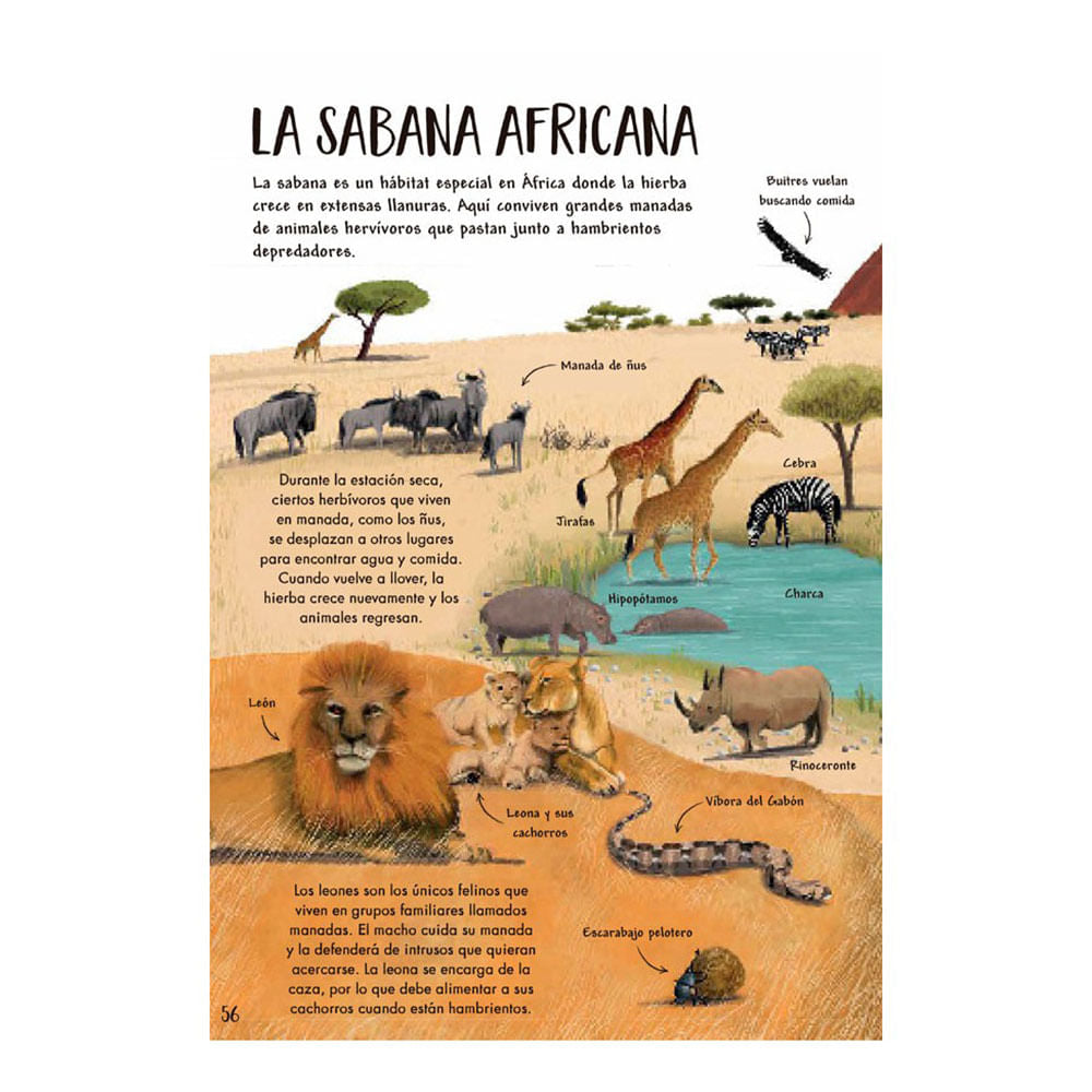 mi-primer-libro-de-la-naturaleza-camilla-de-la-bedoyere-2