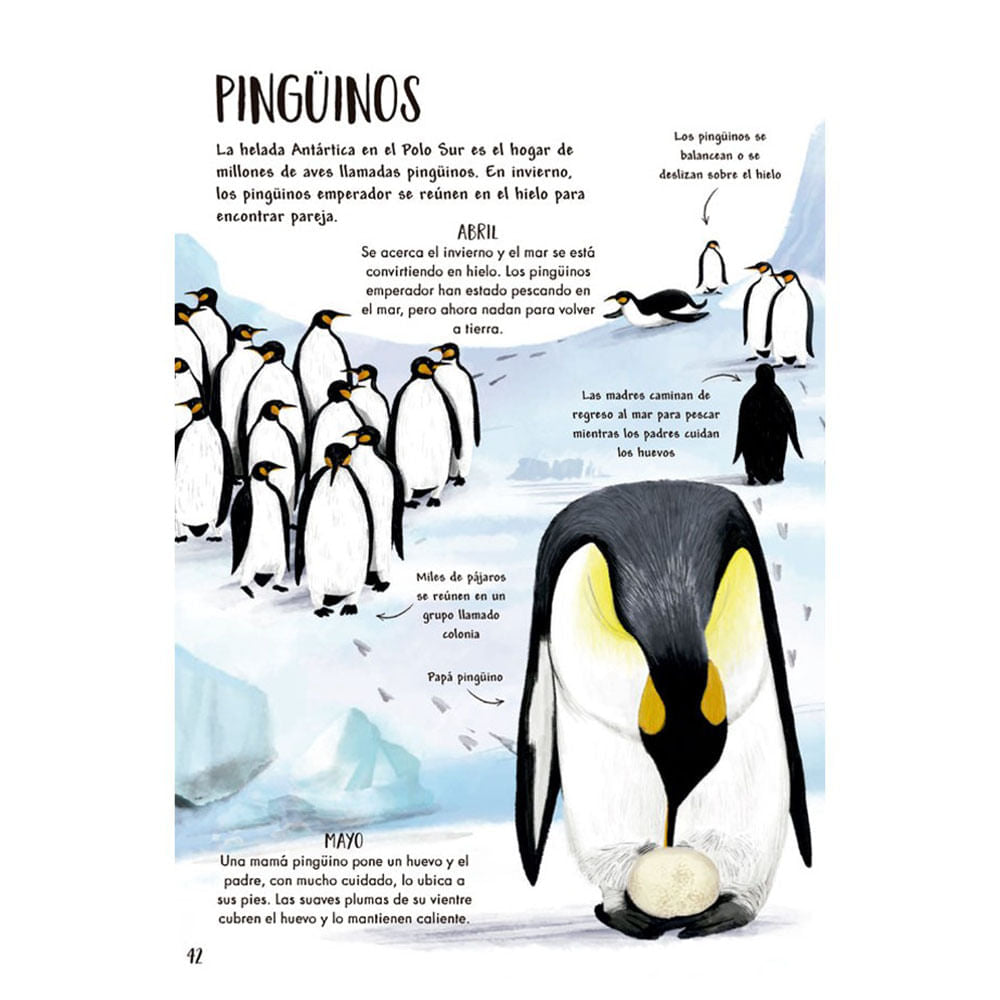 mi-primer-libro-de-la-naturaleza-camilla-de-la-bedoyere-3