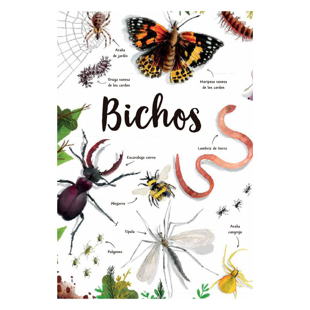 mi-primer-libro-de-la-naturaleza-camilla-de-la-bedoyere-4