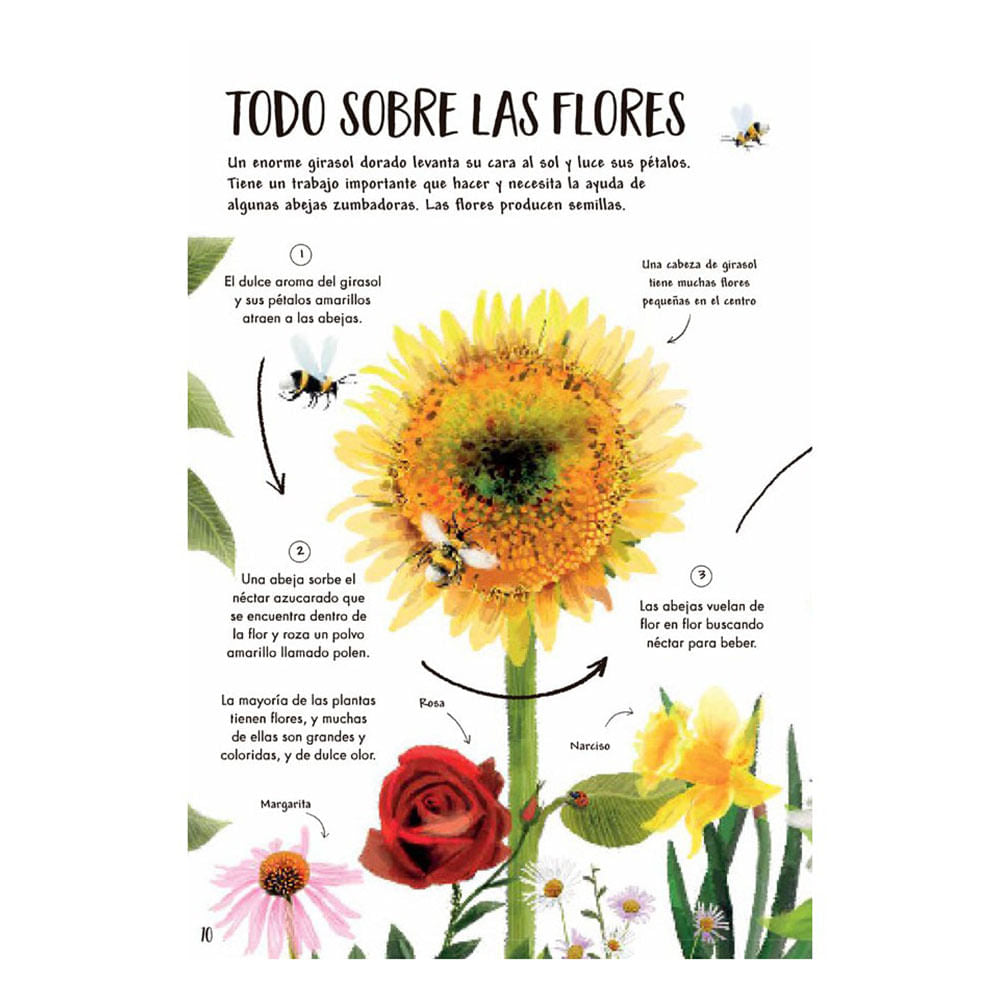 mi-primer-libro-de-la-naturaleza-camilla-de-la-bedoyere-5