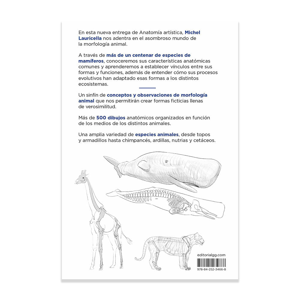 michel-lauricella-libro-anatomia-artistica-9-mamiferos-morfologia-comparada-4