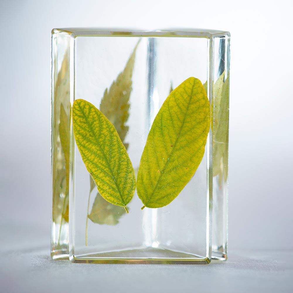 pebeo-gedeo-kit-resina-epoxica-300-ml-cristal-3