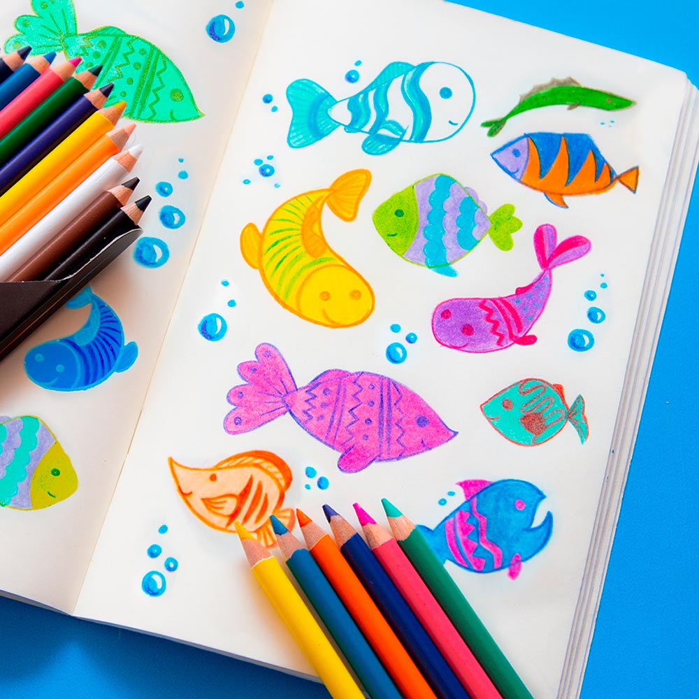 prismacolor-junior-set-24-lapices-de-colores-3