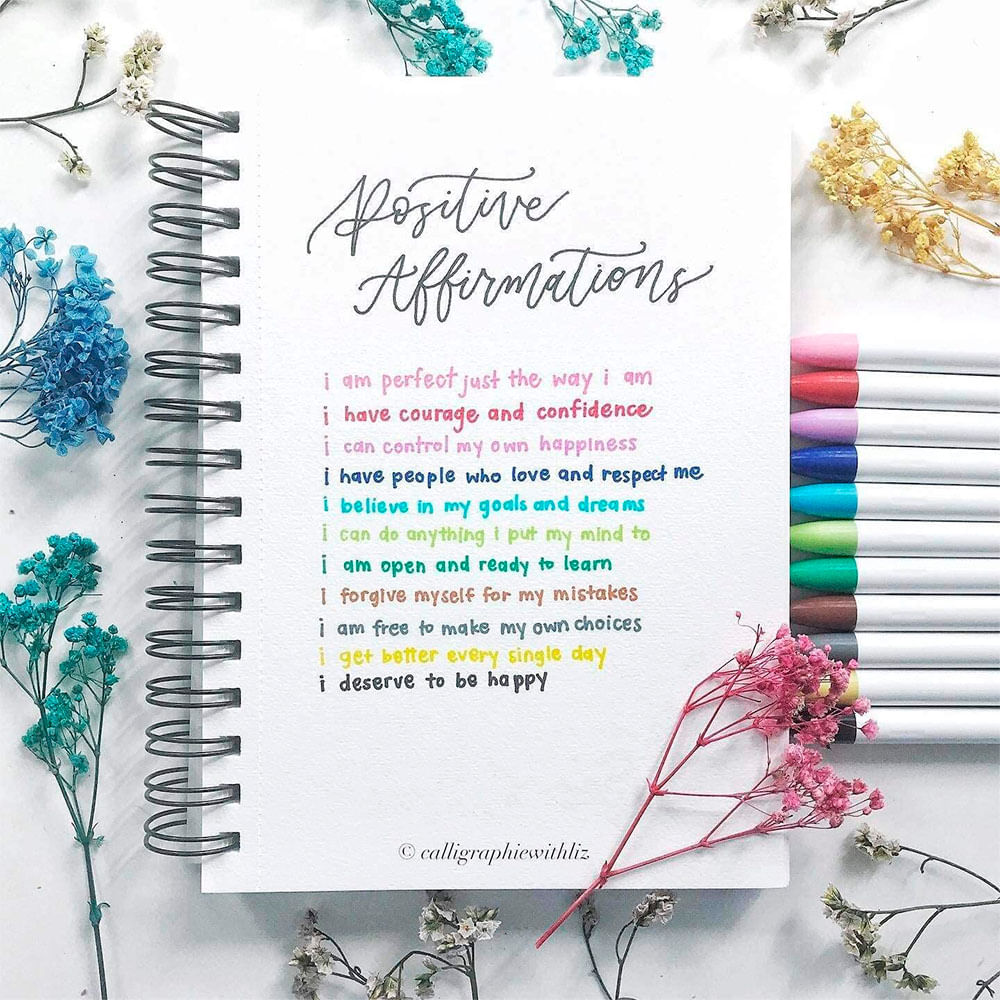 zebra-clickart-set-6-marcadores-retractiles-6