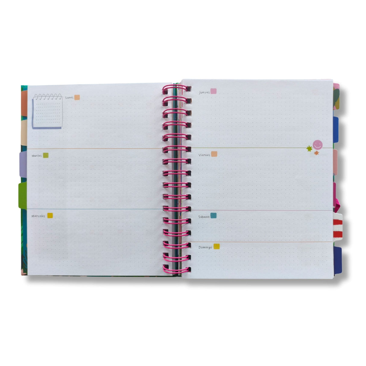 Artel - Planner 12 Meses Dani Blanq