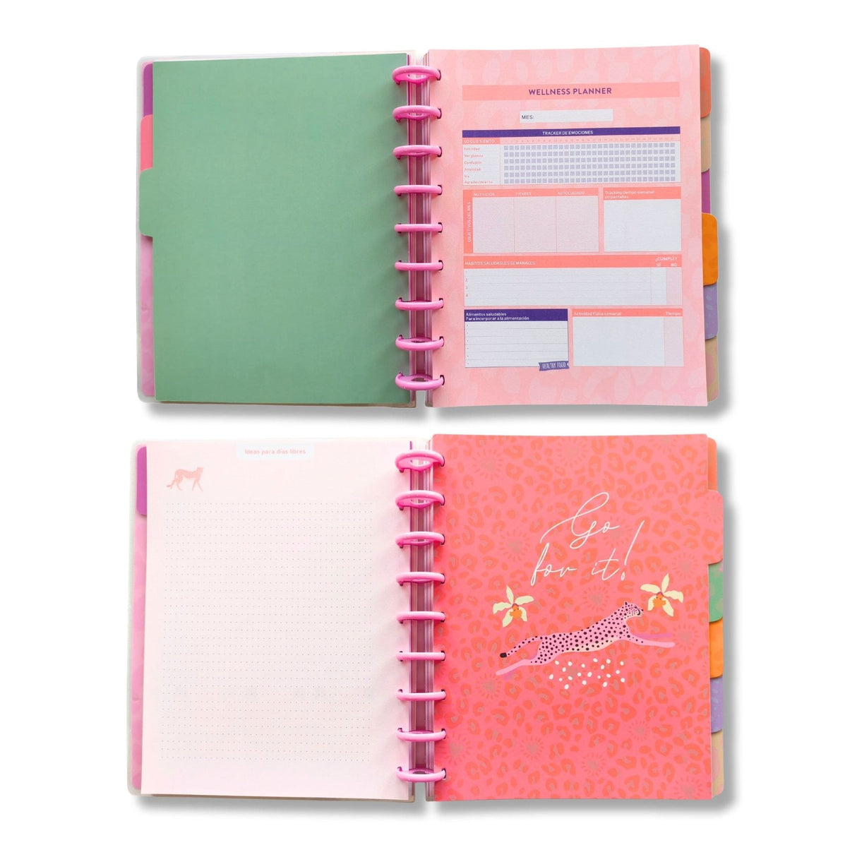 Artel - Planner 12 Meses Discos Animal Pink