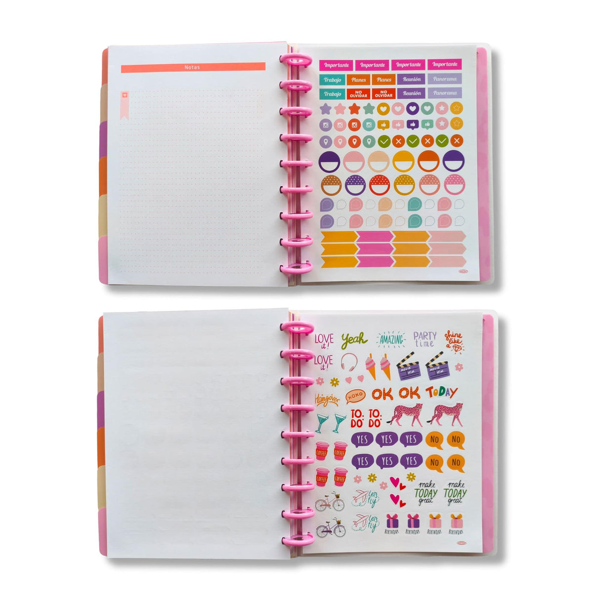 Artel - Planner 12 Meses Discos Animal Pink