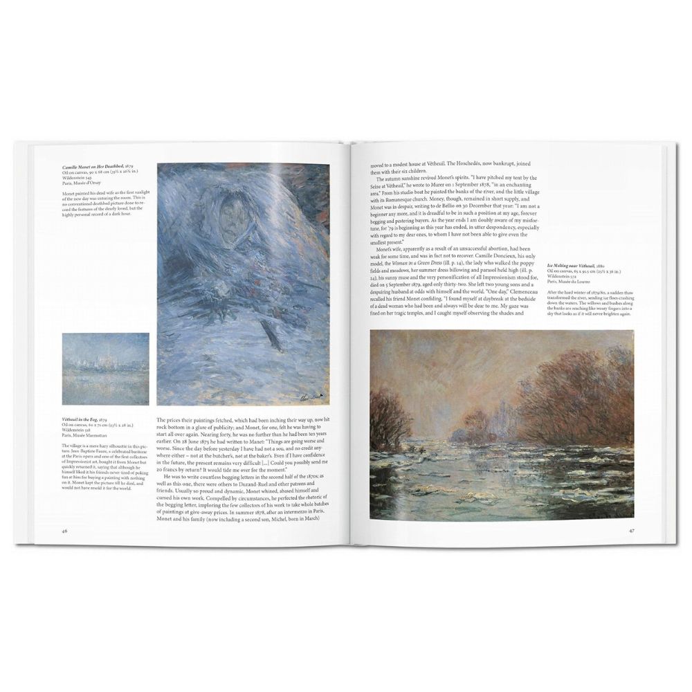 Monet (Basic Art) - Christoph Heinrich