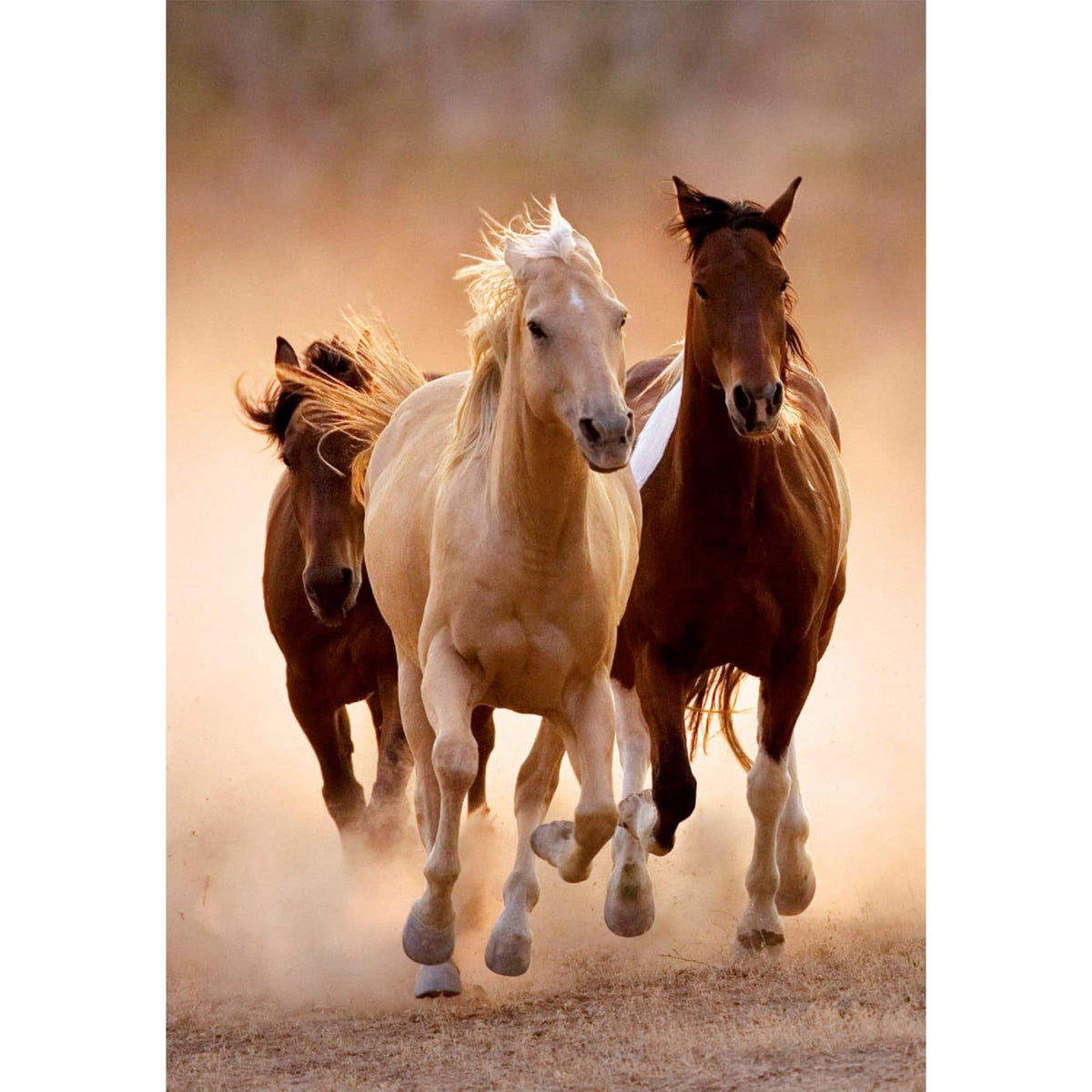 Clementoni - Puzzle 1000 Piezas Compact Running Horses High Quality Collection