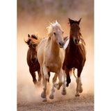 Clementoni - Puzzle 1000 Piezas Compact Running Horses High Quality Collection