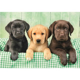 Clementoni - Puzzle 1000 Piezas Compact Three Labs High Quality Collection