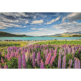 Clementoni - Puzzle 1500 Piezas Compact Lupins at Lake Tekapo High Quality Collection