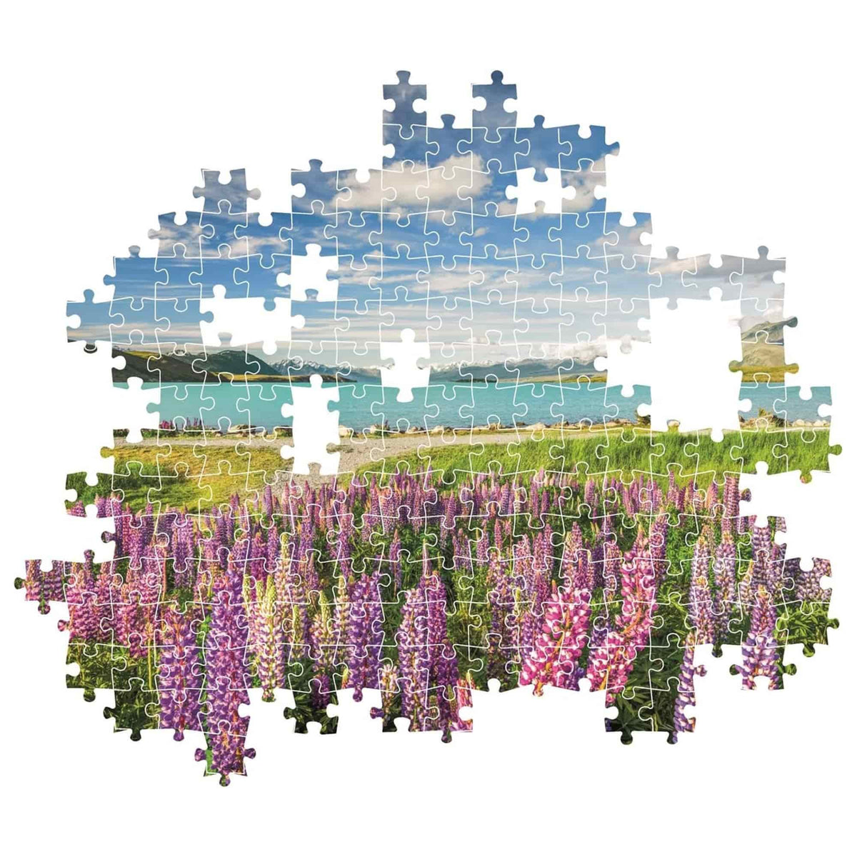 Clementoni - Puzzle 1500 Piezas Compact Lupins at Lake Tekapo High Quality Collection
