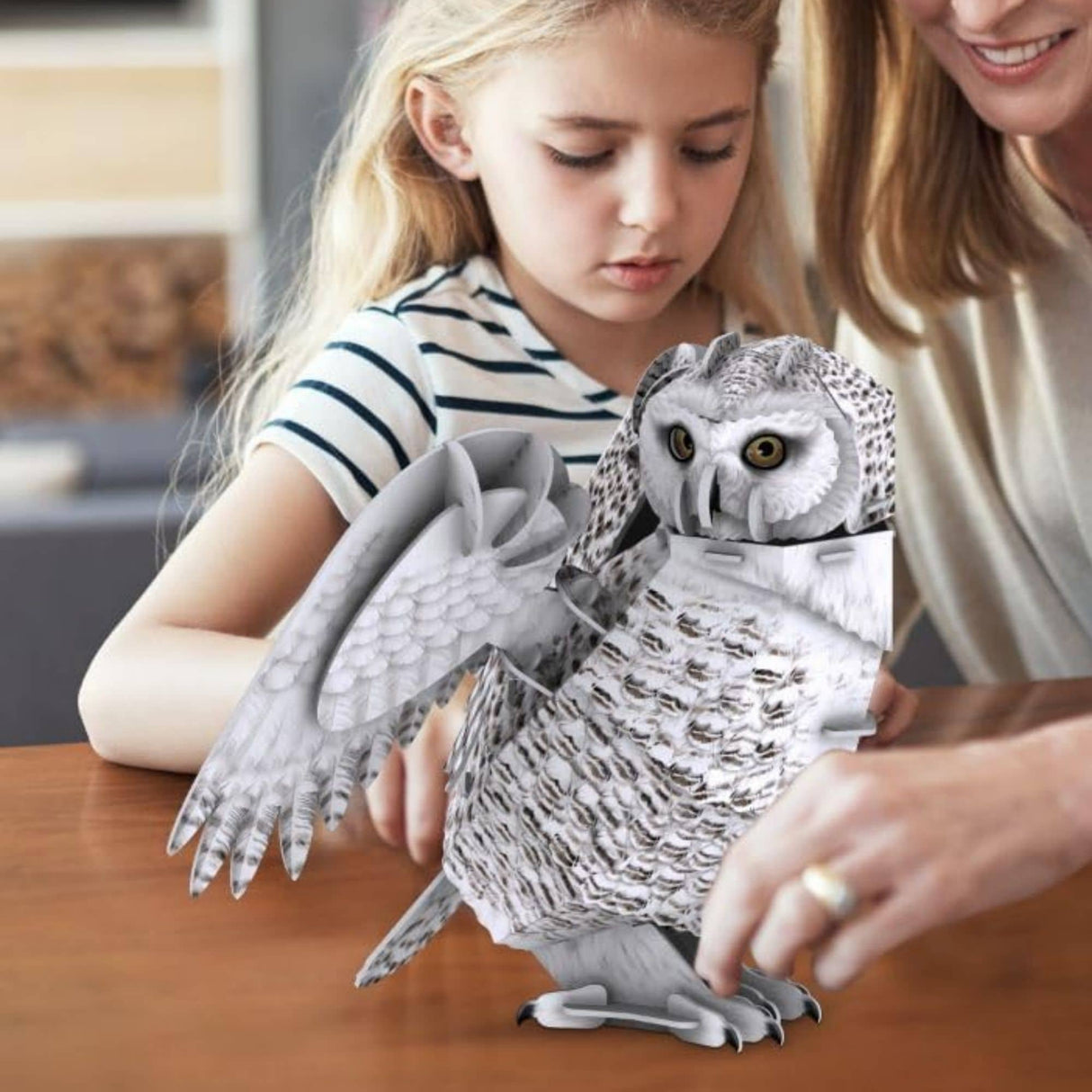 Cubicfun National Geographic - Puzzle 3D Animales Buho Nival