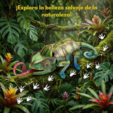 Cubicfun National Geographic - Puzzle 3D Animales Salvajes Camaleón Velado