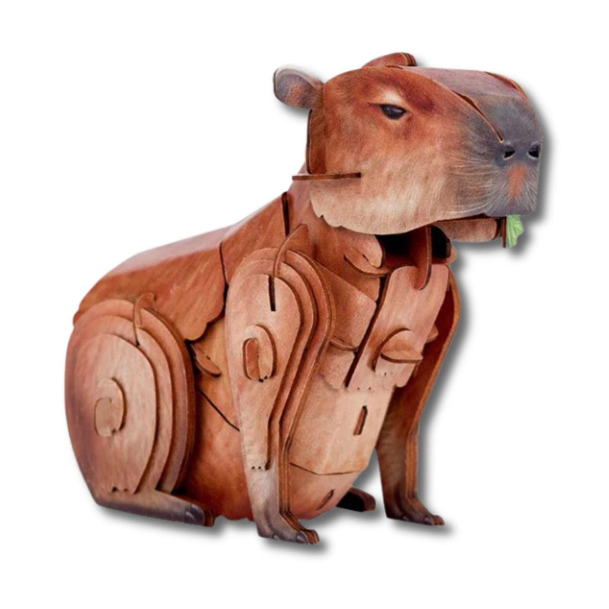 Cubicfun National Geographic - Puzzle 3D Animales Salvajes Capibara