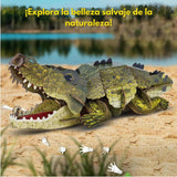 Cubicfun National Geographic - Puzzle 3D Animales Salvajes Cocodrilo